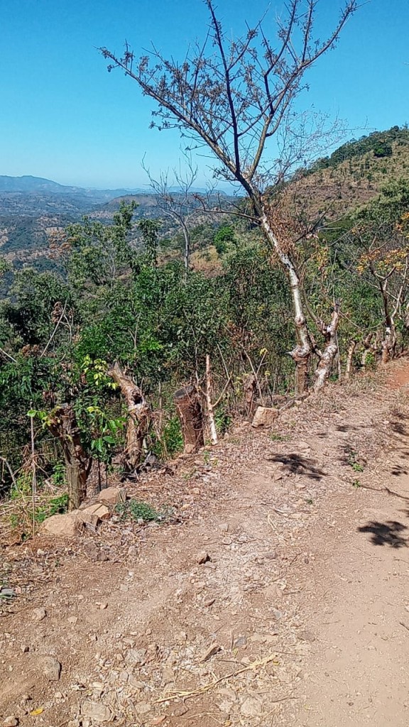 Foto: Cuerpo de Bomberos de El Salvador