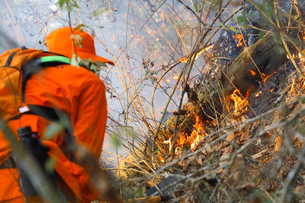 Foto: Cuerpo de Bomberos 