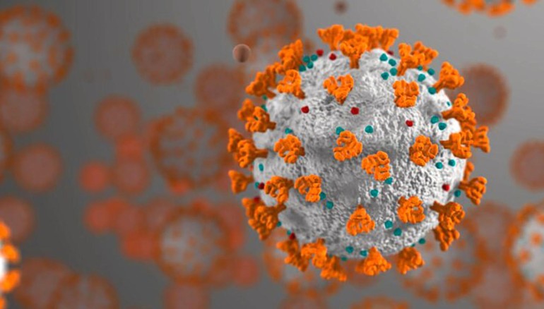 Imagen del virus Sars Cov 2 que provoca el Coronavirus (Covid-19)
