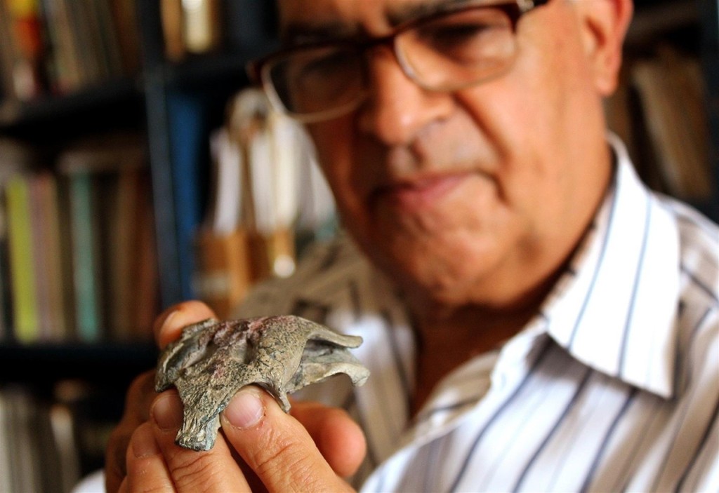 Fotografía que muestra al investigador Fernando Novas mientras sostiene el cráneo del "Burkesuchus mallingrandensis", un cocodrilo prehistórico de 148 millones de años hallado en 2014 en la cordillera Patagónica del sur de Chile. Foto: EFE/ Cortesía Universidad Andrés Bello