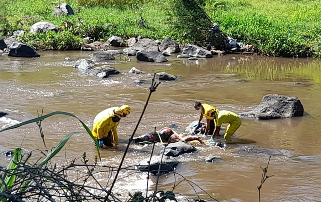 Foto: Comandos de Salvamento