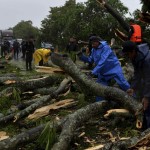 Trabajadores cortan un árbol que cayó en la carretera Panamericana Sur, tras el paso de la tormenta tropical Bonnie. EFE/Jorge Torres