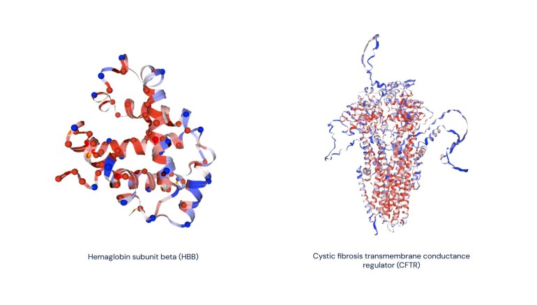 Ejemplos de predicciones de AlphaMissense superpuestas en estructuras de proteínas predichas por AlphaFold. Crédito: Google DeepMind/SOLO USO EDITORIAL