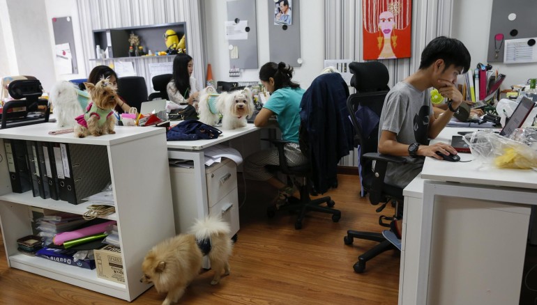 En la imagen de archivo, varios empleados realizan su trabajo junto a sus mascotas en una compañía que permite a sus trabajadores llevarse a sus animales de compañía / EFE/RUNGROJ YONGRIT.