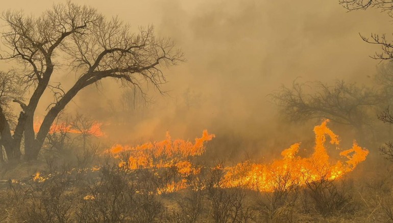 Fotografía cedida por Greenville, Texas Fire-Rescue del incendio forestal en la región del Panhandle, Texas (EE.UU.). EFE/EPA/Greenville, Texas Fire-Rescue