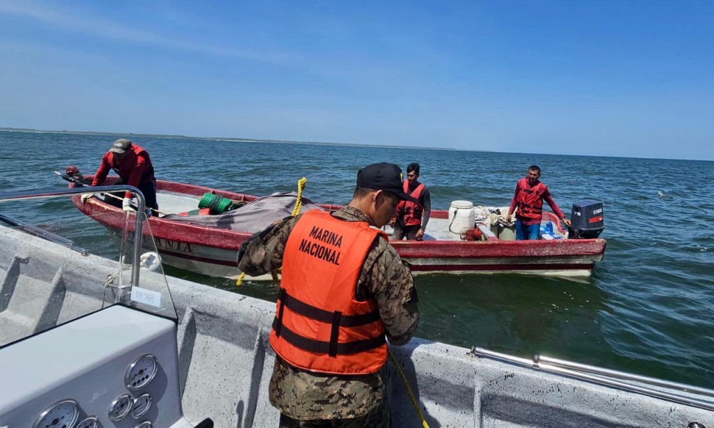 Fotografía: Fuerza Armada.