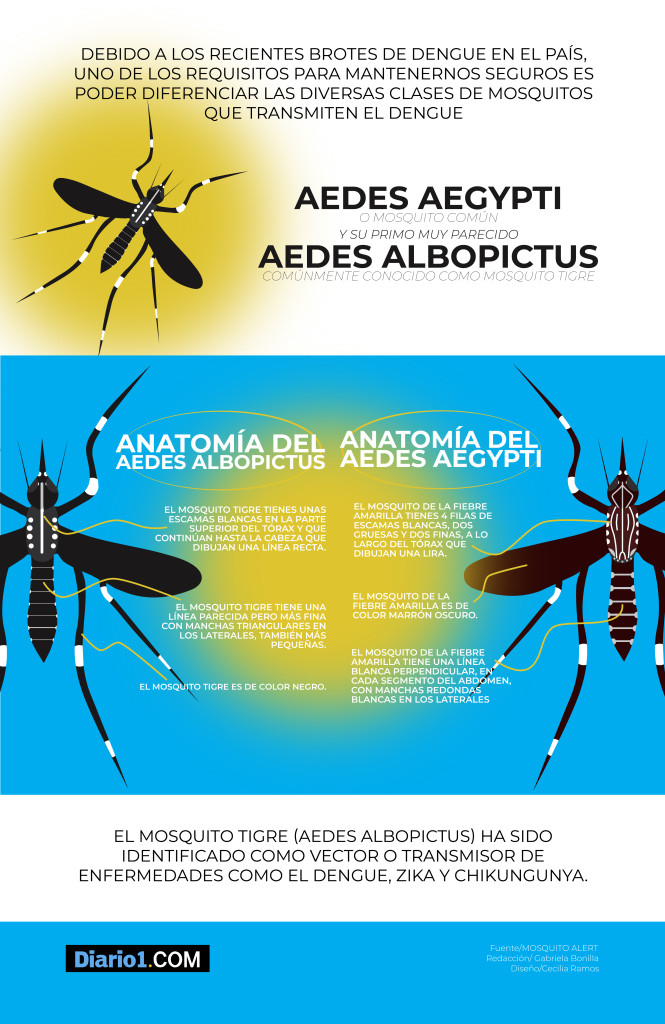 INFOGRAFIA ZANCUDOS diario-06 (1)