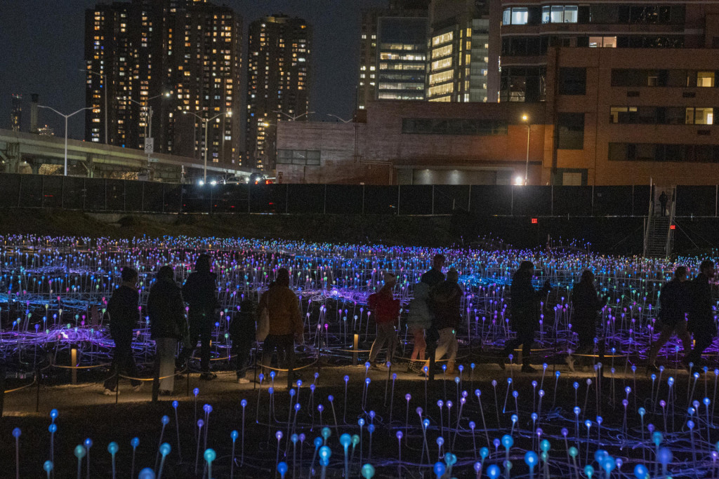 Fotografía que muestra el show de luces Field Of Light del artista Bruce Munro, que se presenta en Freedom Palza de New York (EE.UU.). EFE/Ángel Colmenares