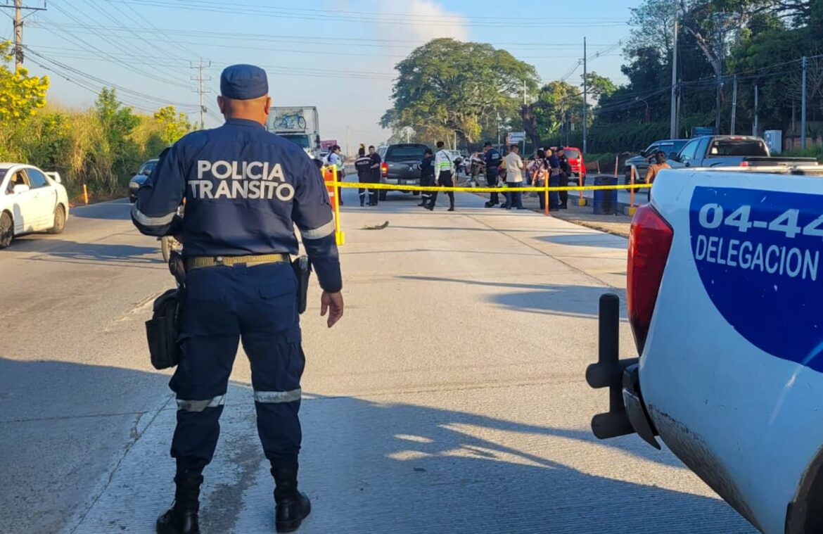 Peatón murió atropellado al intentar cruzar la carretera Panamericana ...