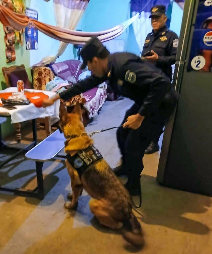 Capturan a mujer por tráfico de drogas en Chalchuapa - Diario1