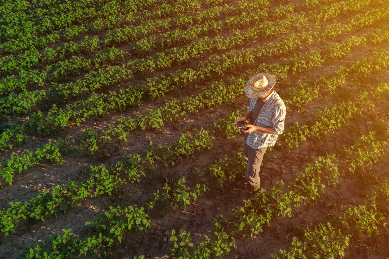 Soya sostenible fortalece la producción de proteína animal en El Salvador